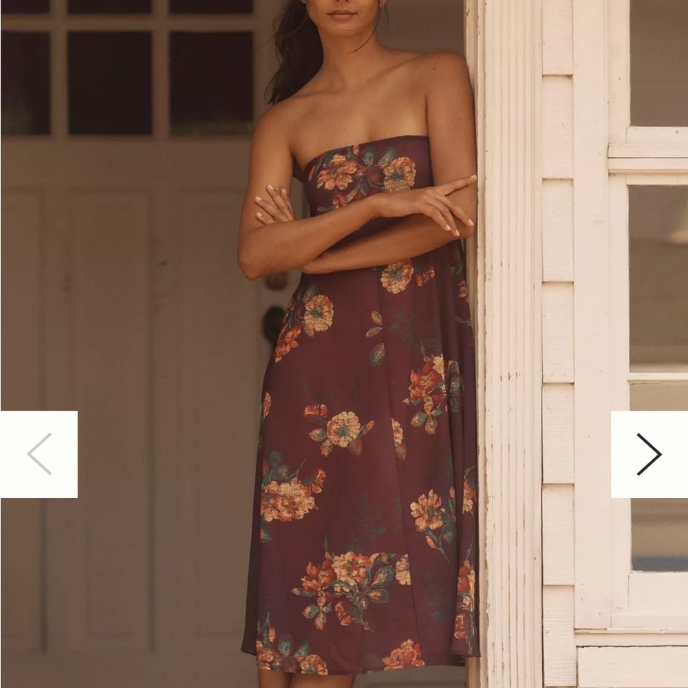 Anthropologie LyreBird Strapless Sheer Chiffon Maxi Dress